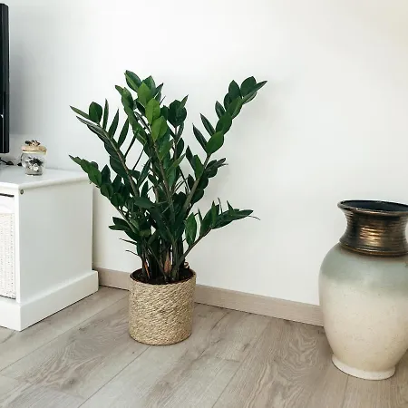 Apartamento Roko Kaštela